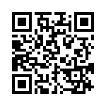 BZW04-33-B0G QRCode