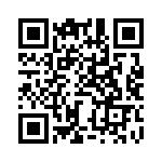 BZW04-33-E3-54 QRCode