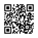 BZW04P33HE3-54 QRCode