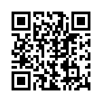 BZW06-13B QRCode