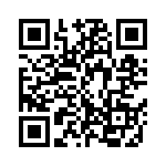 C333C333J5G5TA QRCode