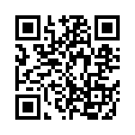 C333C393F5G5TA QRCode