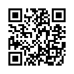 CA12858_EVA-O QRCode