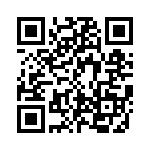 CE3390-16-384 QRCode