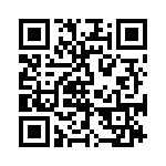 CES-132-02-T-S QRCode