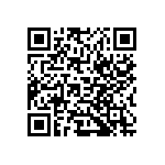 CP00101K300KE66 QRCode