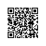 CW0013R300JE12HS QRCode