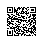 CW0015R100JE12HS QRCode