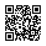 D09P91C4GV00 QRCode