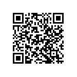 D55342E07B126BRWS QRCode