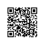 D55342E07B133BRWS QRCode