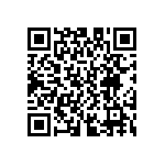 D55342E07B133ERWS QRCode