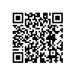 D55342E07B137ERWS QRCode