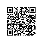 D55342E07B150BRTI QRCode