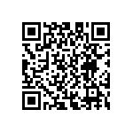 D55342E07B160ERWS QRCode