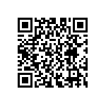 D55342E07B163ERWS QRCode