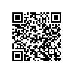 D55342E07B165BRWI QRCode