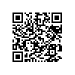 D55342E07B178BRT1 QRCode