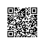 D55342E07B17B2MWS QRCode