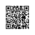 D55342E07B196ERWS QRCode