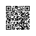 D55342E07B19B3RWS QRCode