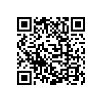 D55342E07B200BRT1 QRCode