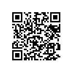 D55342E07B267ERWS QRCode