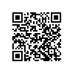 D55342E07B271BRWS QRCode