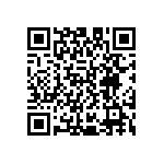 D55342E07B29B4RTP QRCode