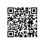 D55342E07B2B49R QRCode