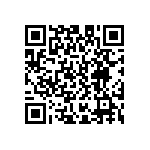 D55342E07B2B50PWS QRCode