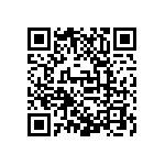 D55342E07B309ERWS QRCode