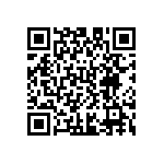 D55342E07B30B1R QRCode