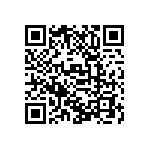 D55342E07B383ARTI QRCode