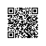 D55342E07B499BPWS QRCode