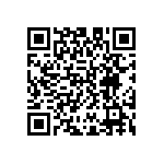 D55342E07B4B99RTP QRCode