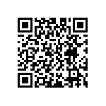 D55342E07B787ARWS QRCode