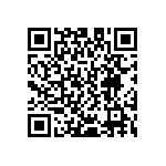 D55342E07B887ERWS QRCode