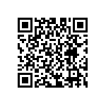 D55342E07B909ERWS QRCode