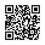 DBMV13H3SYA197 QRCode