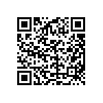 DCM13W6P1A7NA191K87 QRCode