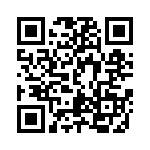 DDZX11C-13 QRCode