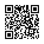 DDZX13B-13 QRCode