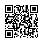 DEBE33D102ZB2B QRCode