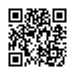 DEE9SV_B3 QRCode