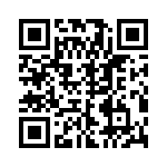 DEMM9PAA101 QRCode