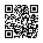 DS1013-30_1A3 QRCode