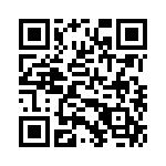 DT150PW203P QRCode