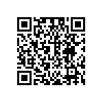 DW-02-13-T-Q-1010-001 QRCode