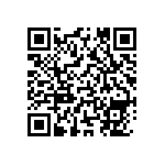 DW-02-17-T-S-275 QRCode